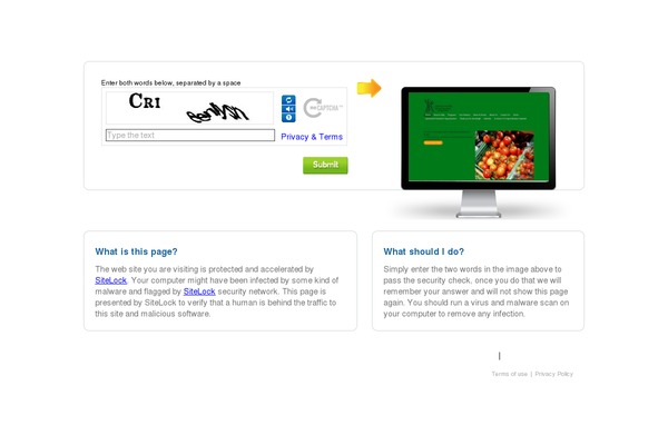 Biznizz theme site design template sample