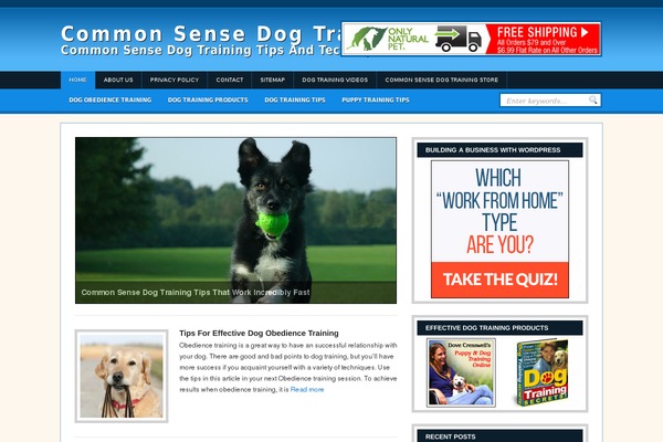 Headlines_enhanced theme site design template sample