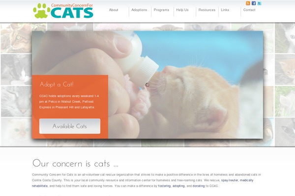 Jump Start theme site design template sample