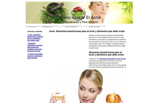Ctr Theme Plus theme site design template sample