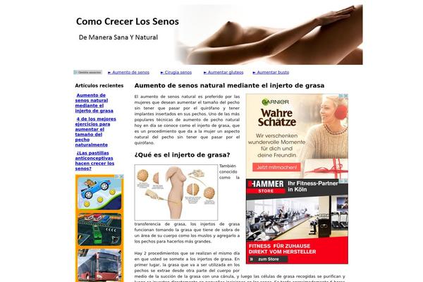 Ctr Theme Plus theme site design template sample