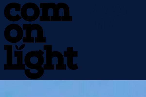 Site using Diviflash plugin