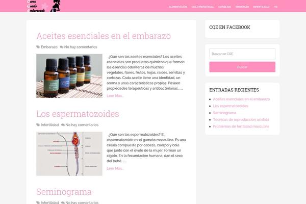 Schema theme site design template sample