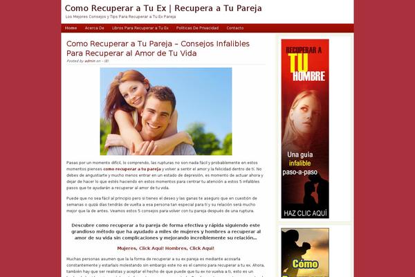 comorecuperaratuex.info site used Minimalist-love1.1