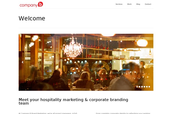 companyb theme websites examples