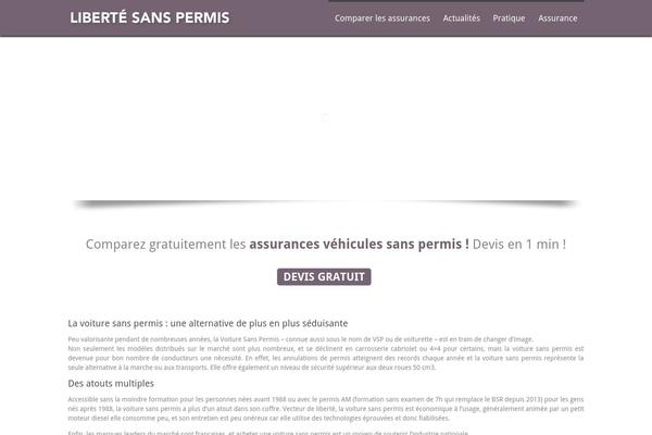 Maximus theme site design template sample