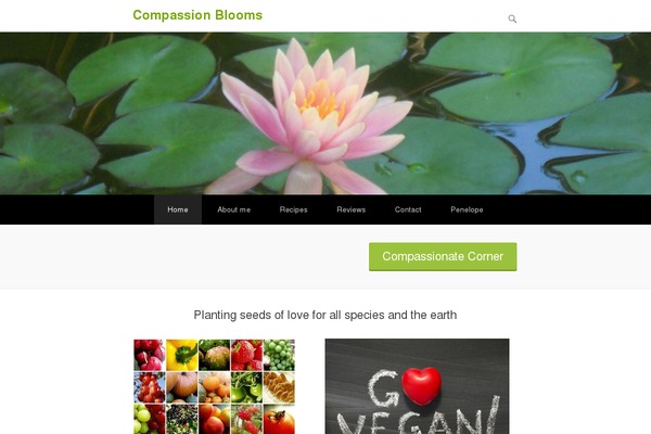 Adventurous theme site design template sample