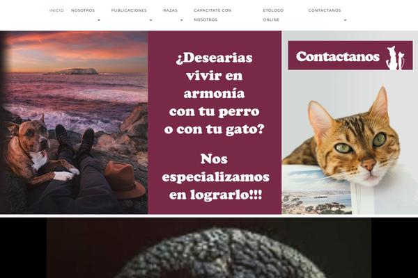 Activello theme site design template sample