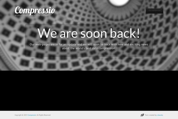 Tonic theme site design template sample