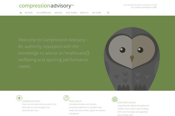Salient theme site design template sample