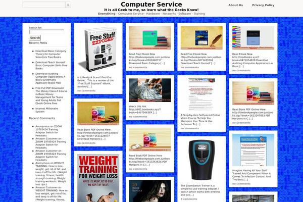computerservicelakeland.com site used Covert PinPress