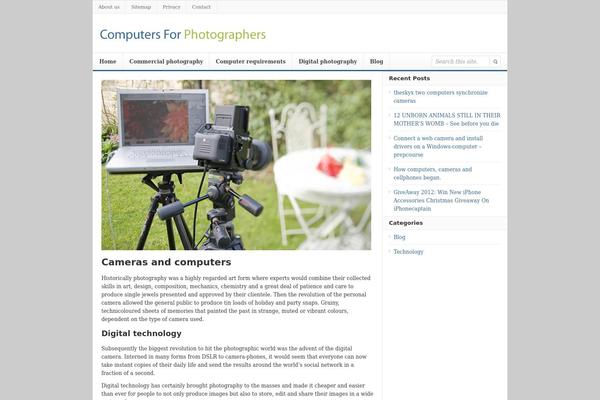 Daily theme site design template sample