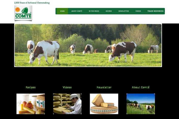 Site using Shortcodeigniter plugin