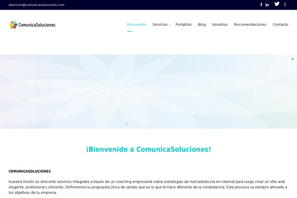 Salbii theme site design template sample