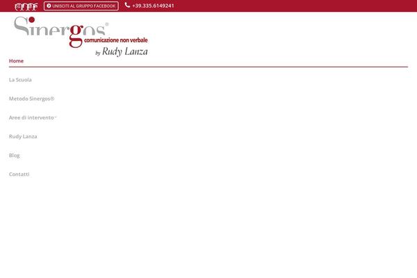 The7 theme site design template sample