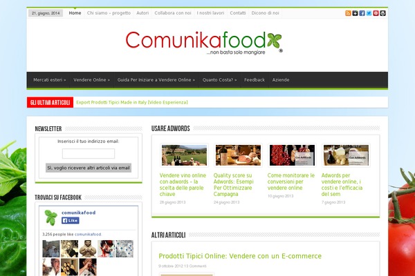 Site using Easy-fattura-elettronica plugin