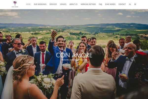Site using WP YouTube Lyte plugin