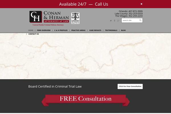 Choices theme site design template sample