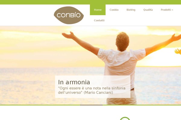 discover theme site design template sample