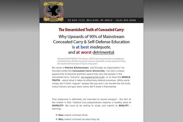 cti theme websites examples