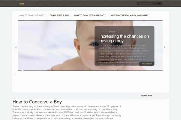 conceiveaboyhowto.com site used Aggregate