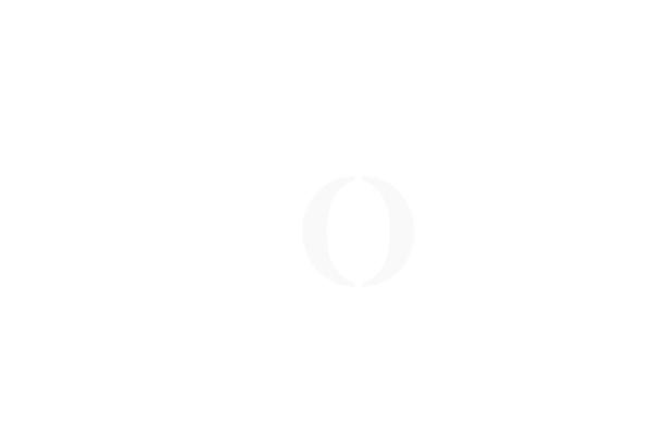 Roots theme site design template sample