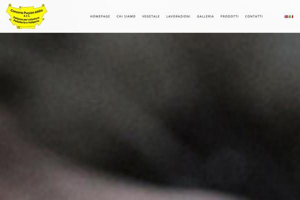 Rhythm theme site design template sample