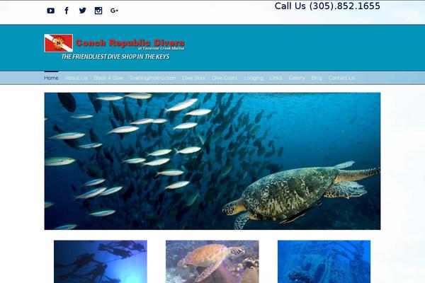 Site using Revolution Slider plugin
