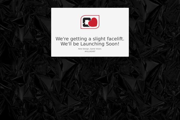 15Zine theme site design template sample