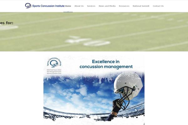 Divi Child theme site design template sample