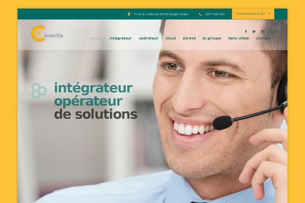 Consulting-child theme site design template sample
