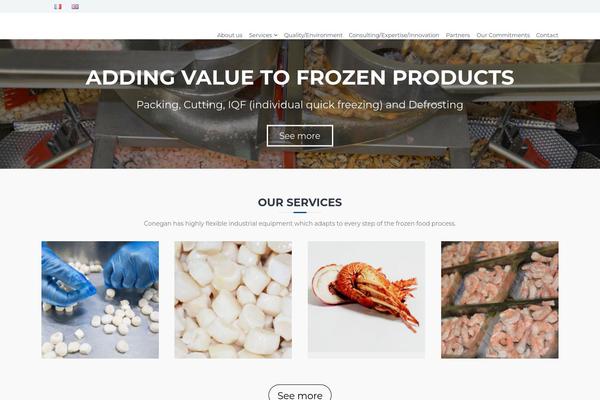 Flash theme site design template sample