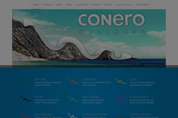conerowellness.com site used Infinite