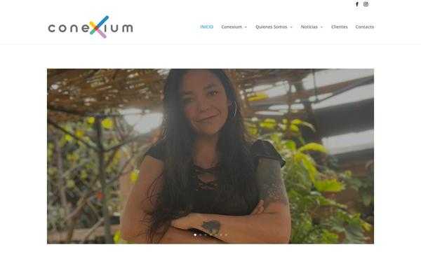 Conceptseven theme site design template sample
