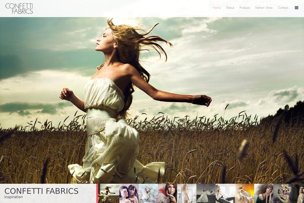 Gt3-wp-frame theme site design template sample
