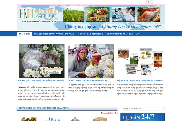 Vn News theme site design template sample