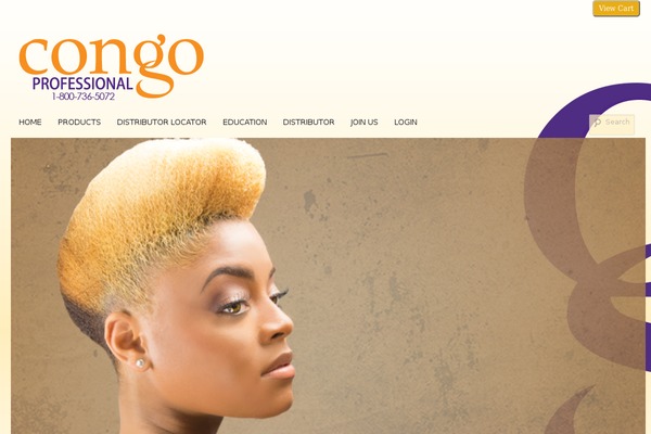 Boot Store theme site design template sample