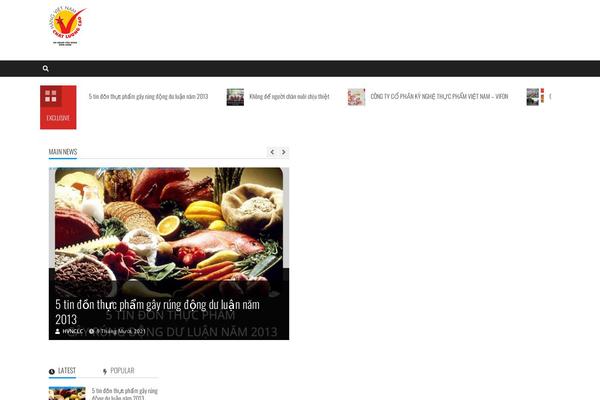 MoreNews theme site design template sample