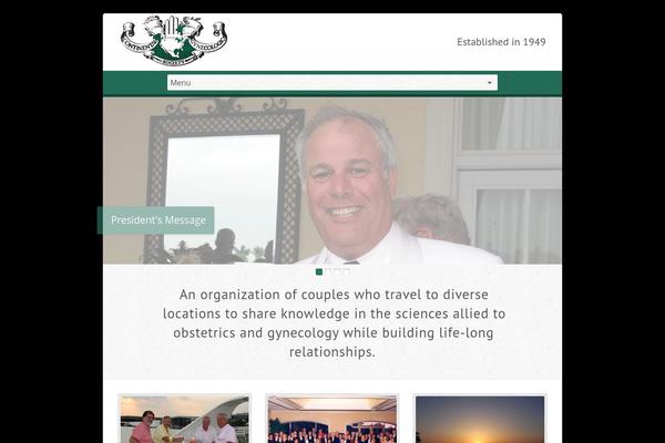 Risen theme site design template sample