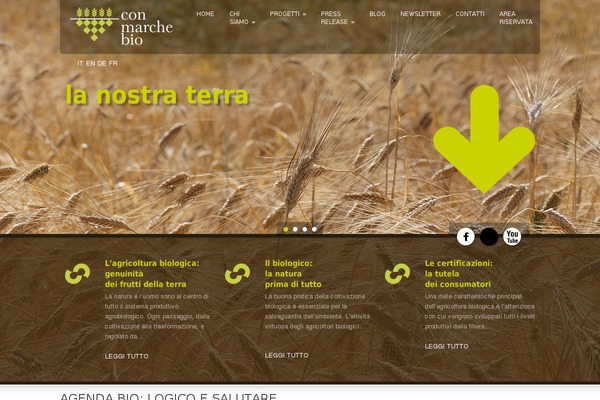 Green Earth  V1-05 theme site design template sample