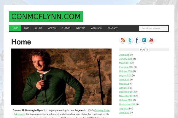 Site using WPaudio MP3 Player plugin