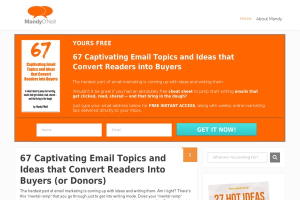 Focusblog theme site design template sample