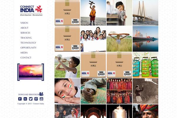 Site using Salient-social plugin