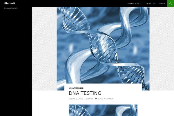 Twenty Fourteen theme site design template sample