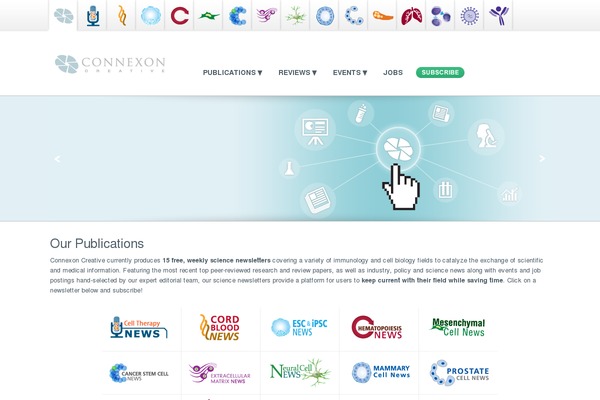hin theme websites examples