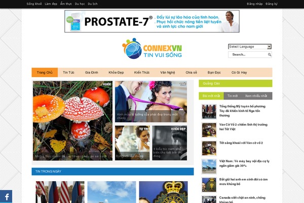Gonzo theme site design template sample