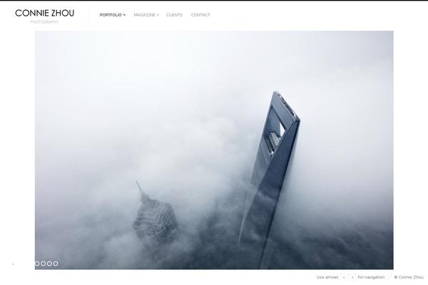 Fluxus theme site design template sample
