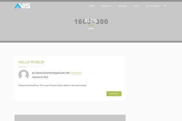 connormorganti.com site used Avis