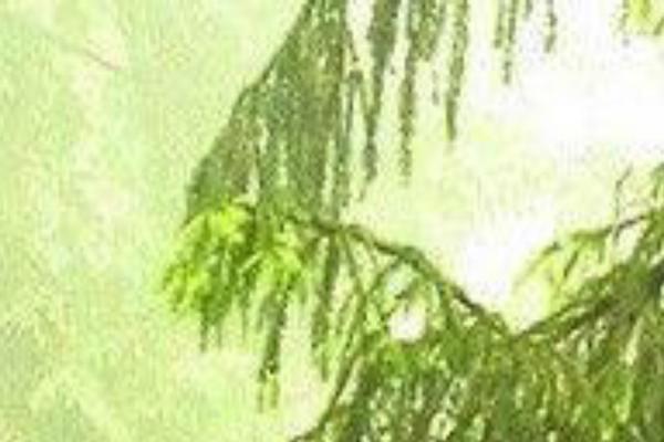 consciousmediapublish.com site used Twenty Seventeen