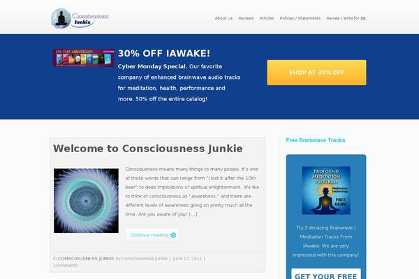 Ignition theme site design template sample